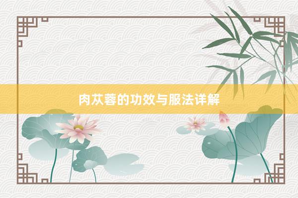 肉苁蓉的功效与服法详解