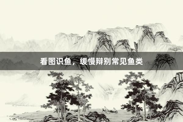 看图识鱼，缓慢辩别常见鱼类